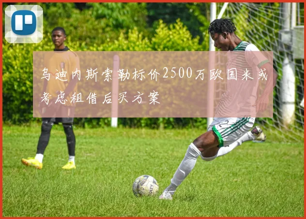 乌迪内斯索勒标价2500万欧国米或考虑租借后买方案