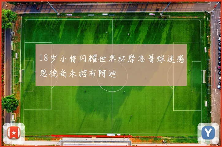 18岁小将闪耀世界杯摩洛哥球迷感恩德尚未招布阿迪